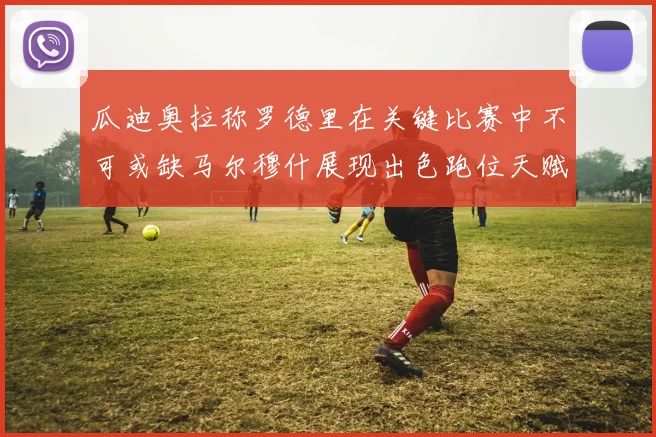 瓜迪奥拉称罗德里在关键比赛中不可或缺马尔穆什展现出色跑位天赋